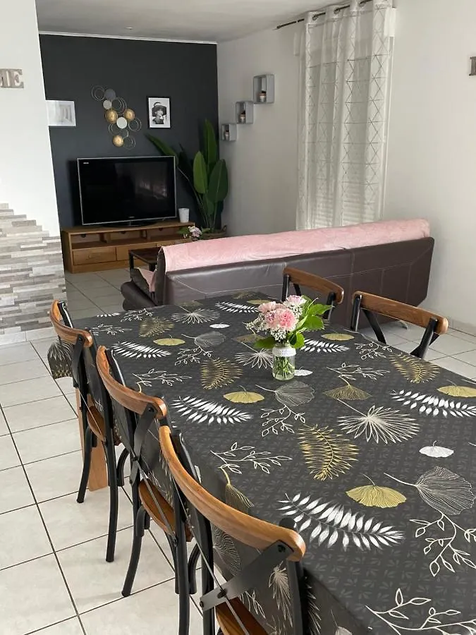Maison Entiere 4 Lits 8 Pl Avec Jacuzzi Proche Du Safari De Peaugres Anneyron France